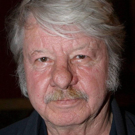 Heinz Petters