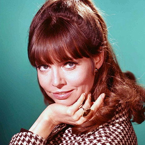 Barbara Feldon