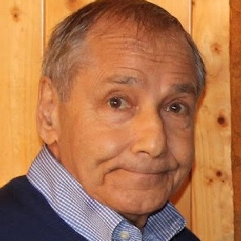 Gero Caldarelli