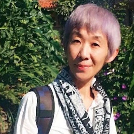 Lin Lan