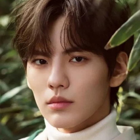 Bi Wenjun