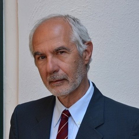Massimo Palazzini