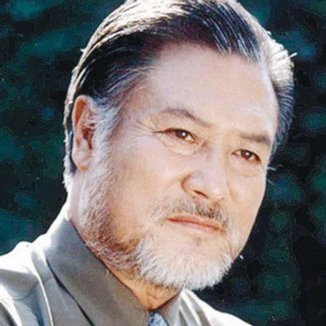 Liu Wenzhi