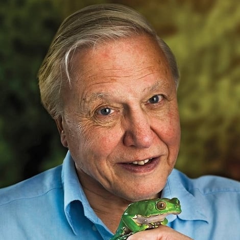 David Attenborough's profile