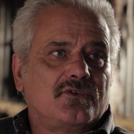 Marco Stefanelli