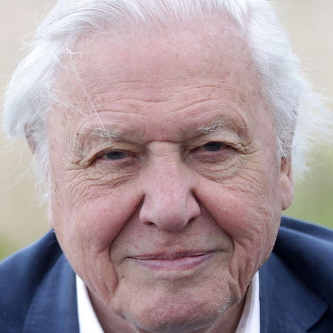 David Attenborough
