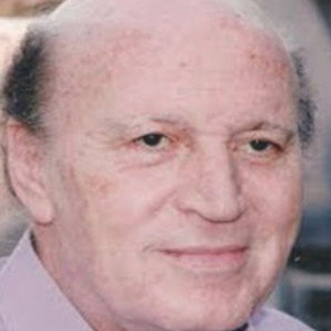 Hassan Abdel Hamid