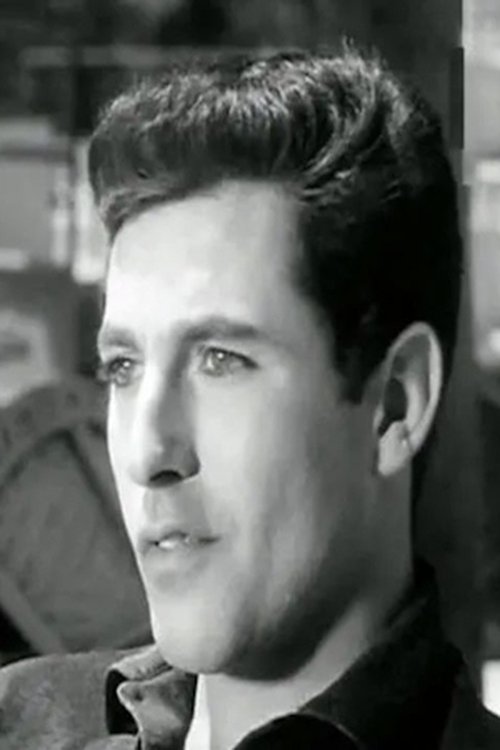 Amr El Torgoman