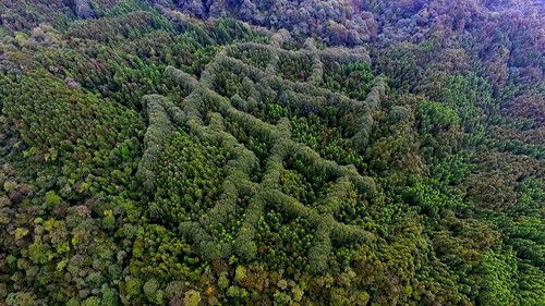 Forbidden Cities of the Maya