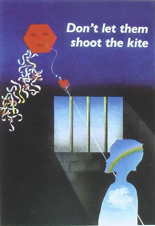 Don't Let Them Shoot the Kite