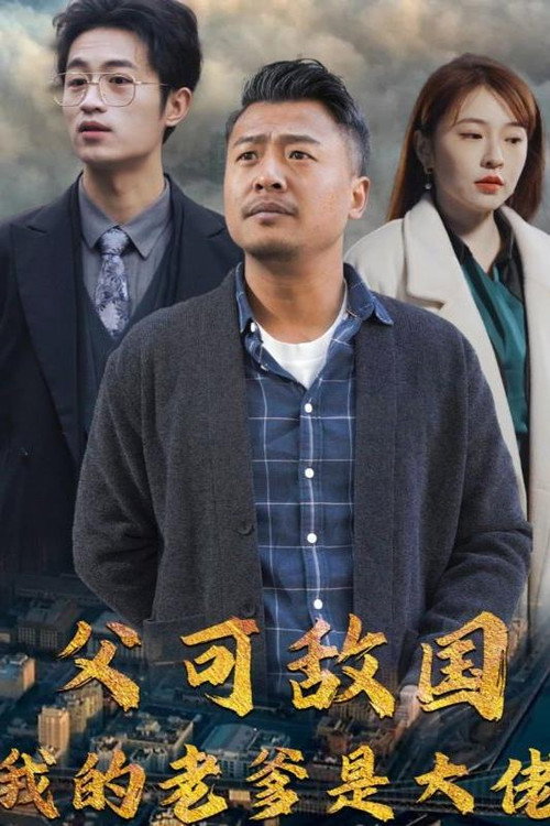 父可敌国我的老爹是大佬电影海报