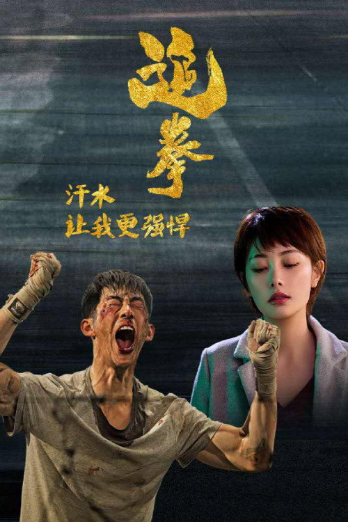 The Fighter poster 2