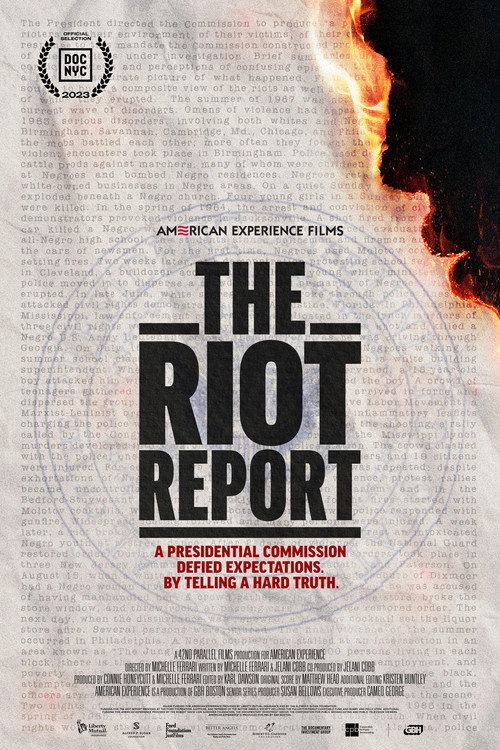 The Riot Report poster 2