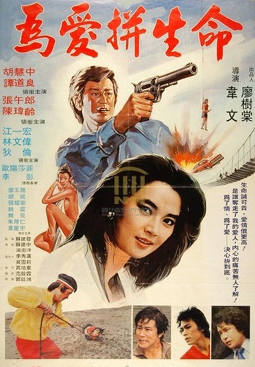 四狼电影海报
