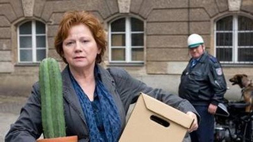 Fremde im Spiegel
