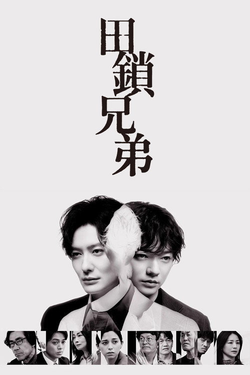 田锁兄弟电影海报