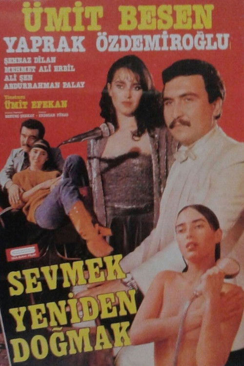 Sevmek Yeniden Doğmak Poster