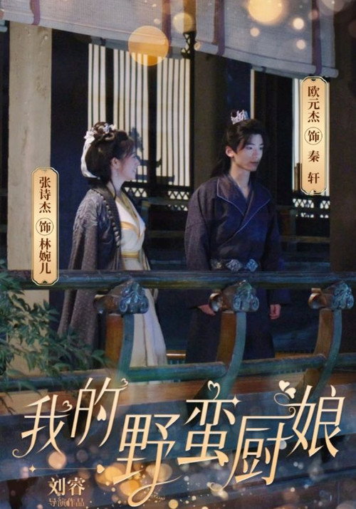 我的野蛮厨娘电影海报