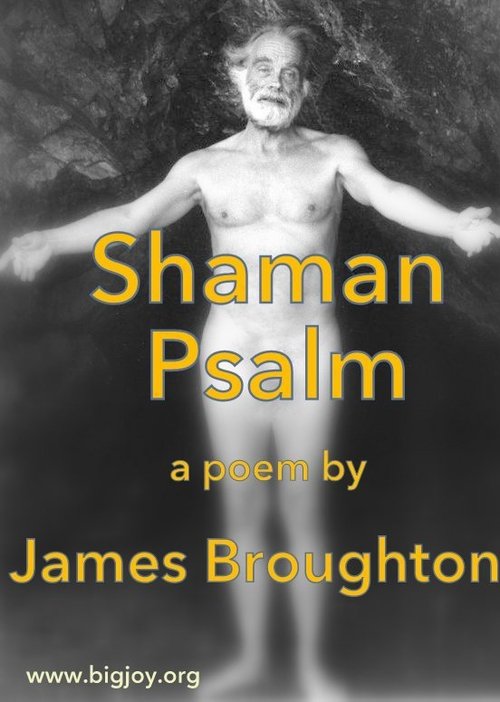 Shaman Psalm Poster
