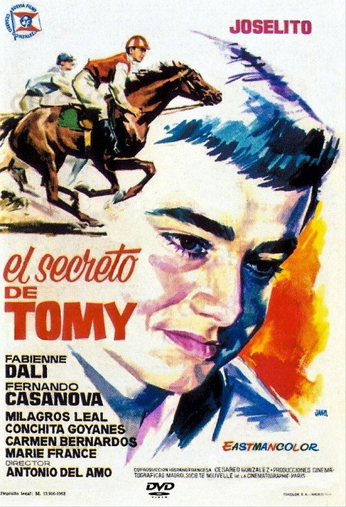 El secreto de Tomy poster 2