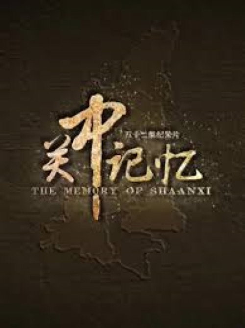 关中记忆电影海报