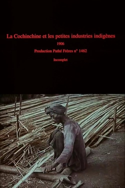 La Cochinchine et les petites industries indigènes