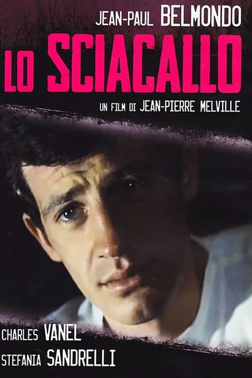 Lo+sciacallo