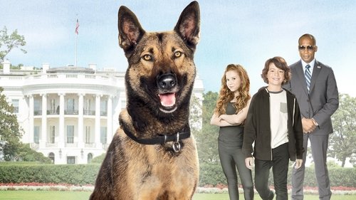 Max 2: White House Hero (2017) Watch Full Movie Streaming Online