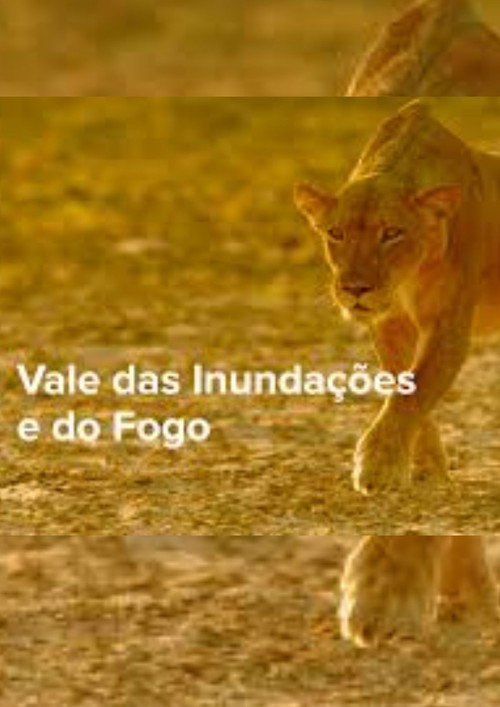 Vale do Dil&uacute;vio e do Fogo电影海报