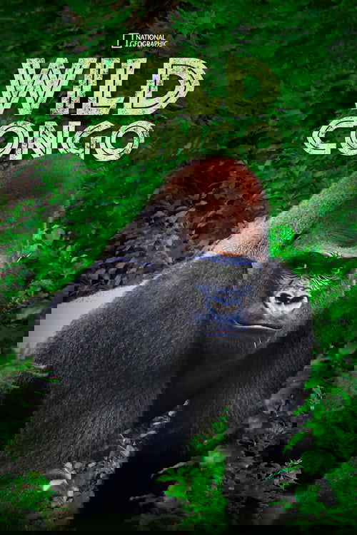 Wild Congo