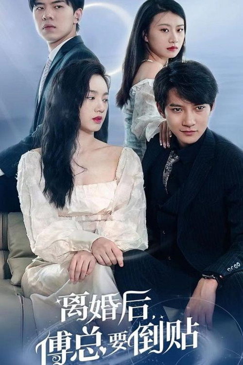 离婚后，傅总要倒贴电影海报