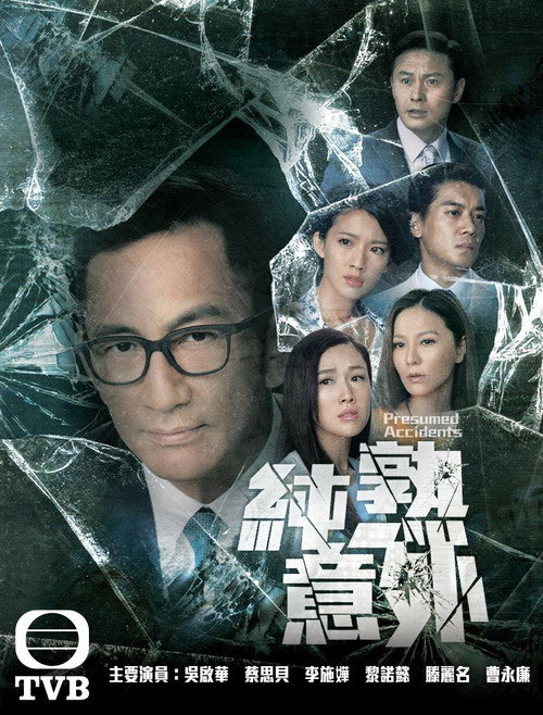 纯熟意外电影海报