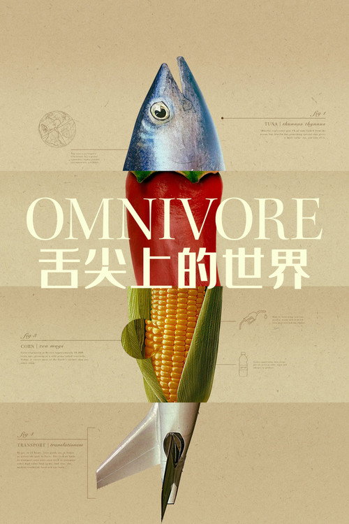 舌尖上的世界电影海报