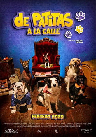 De patitas a la calle (2020) Watch Full HD Movie google drive