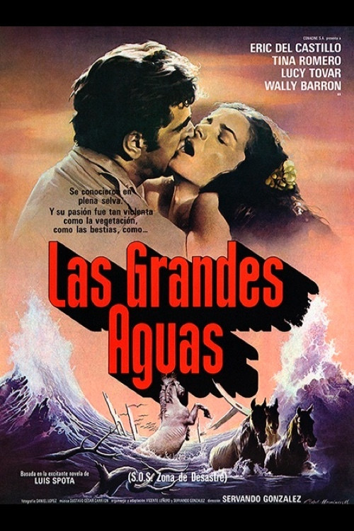 Las grandes aguas poster 2
