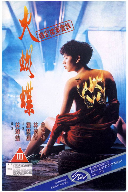 机密档案实录火蝴蝶电影海报