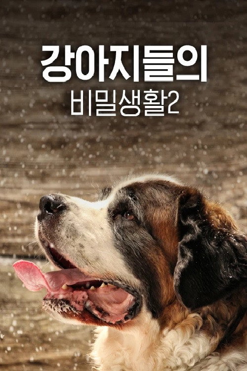 강아지들의 비밀 생활2电影海报