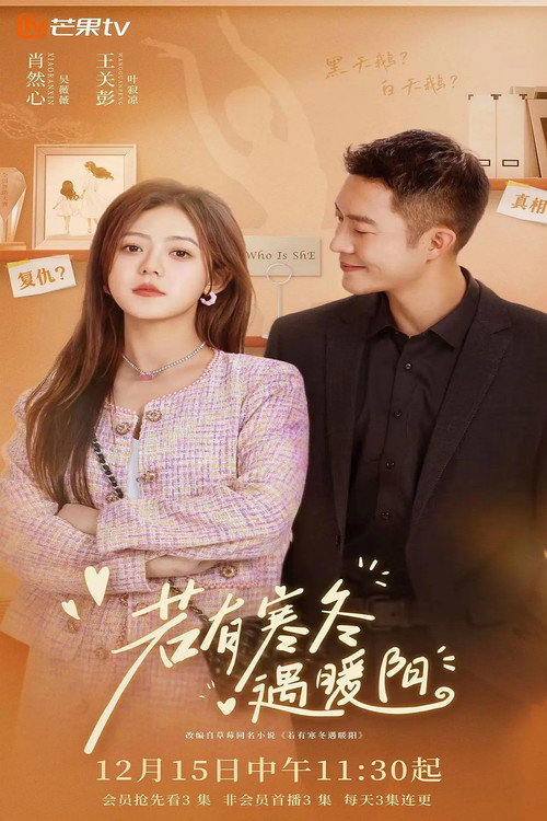 Sunshine in Winter poster 2