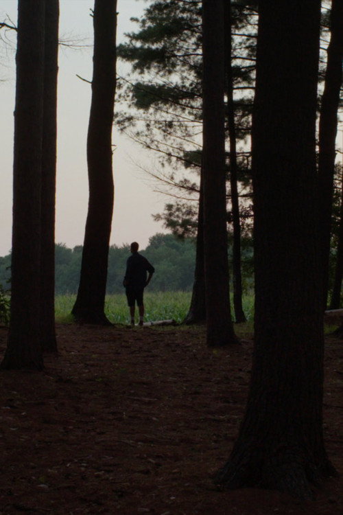 Light on a Path, Follow poster 1