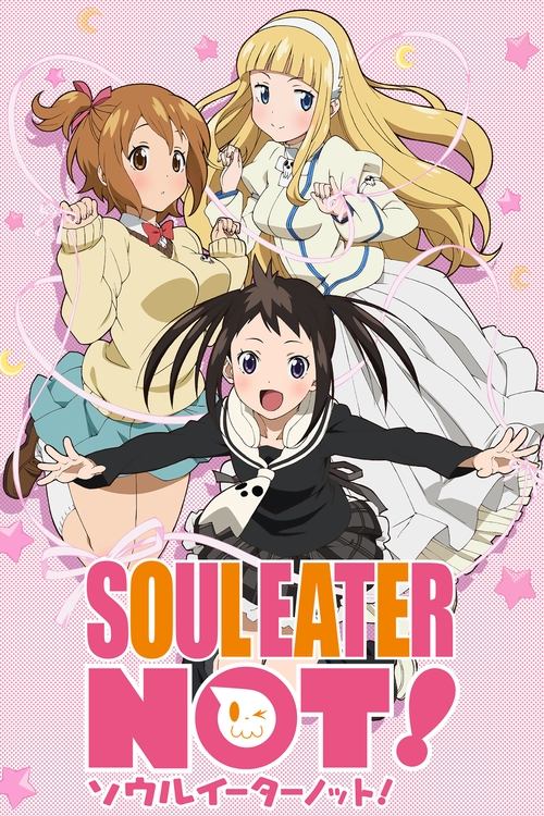 Poster of Soul Eater Not!