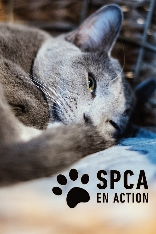 Poster of SPCA en action