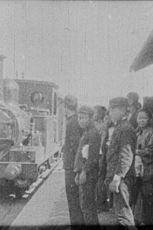 Arriv&eacute;e d'un train电影海报