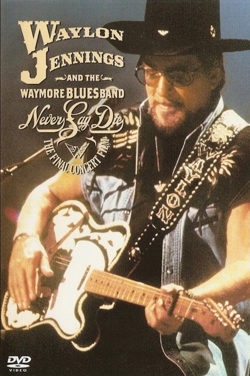 Never Say Die: The Final Concert Film poster 2