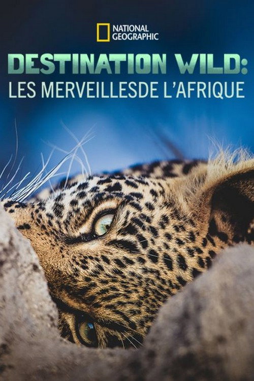Destination Wild : les merveilles de l'Afrique电影海报