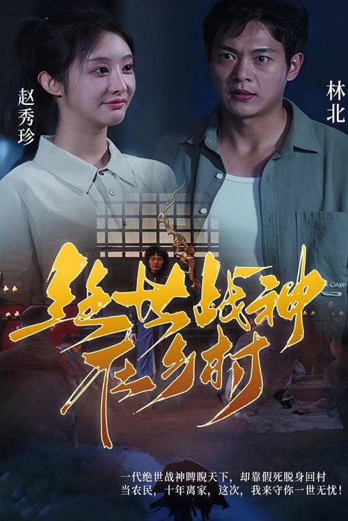 绝世战神在乡村电影海报