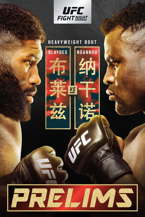 UFC Fight Night 141: Blaydes vs. Ngannou 2 poster 2