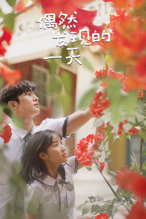 偶然发现的一天电影海报