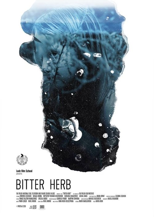 Bitter Herb Poster