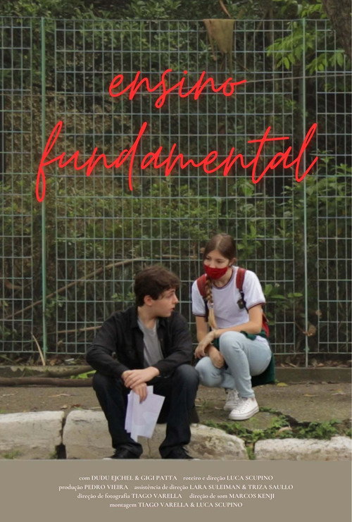 Ensino Fundamental (2021)