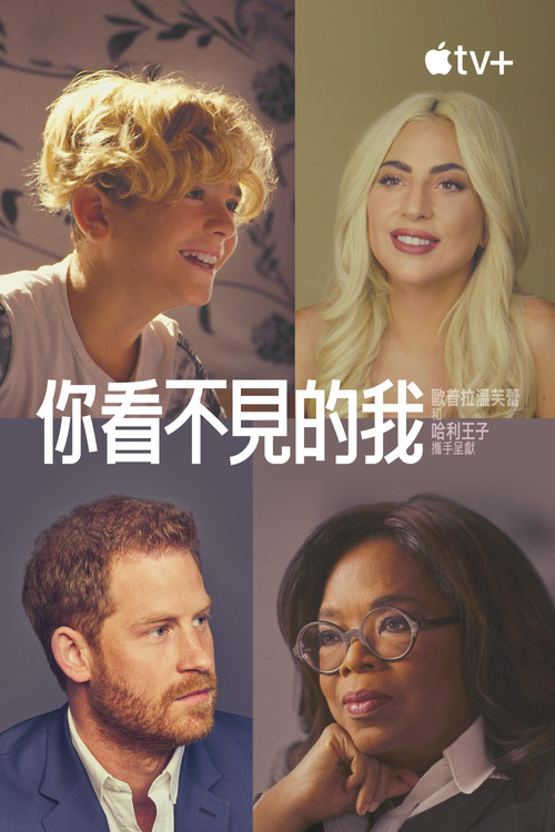 你看不见的我电影海报